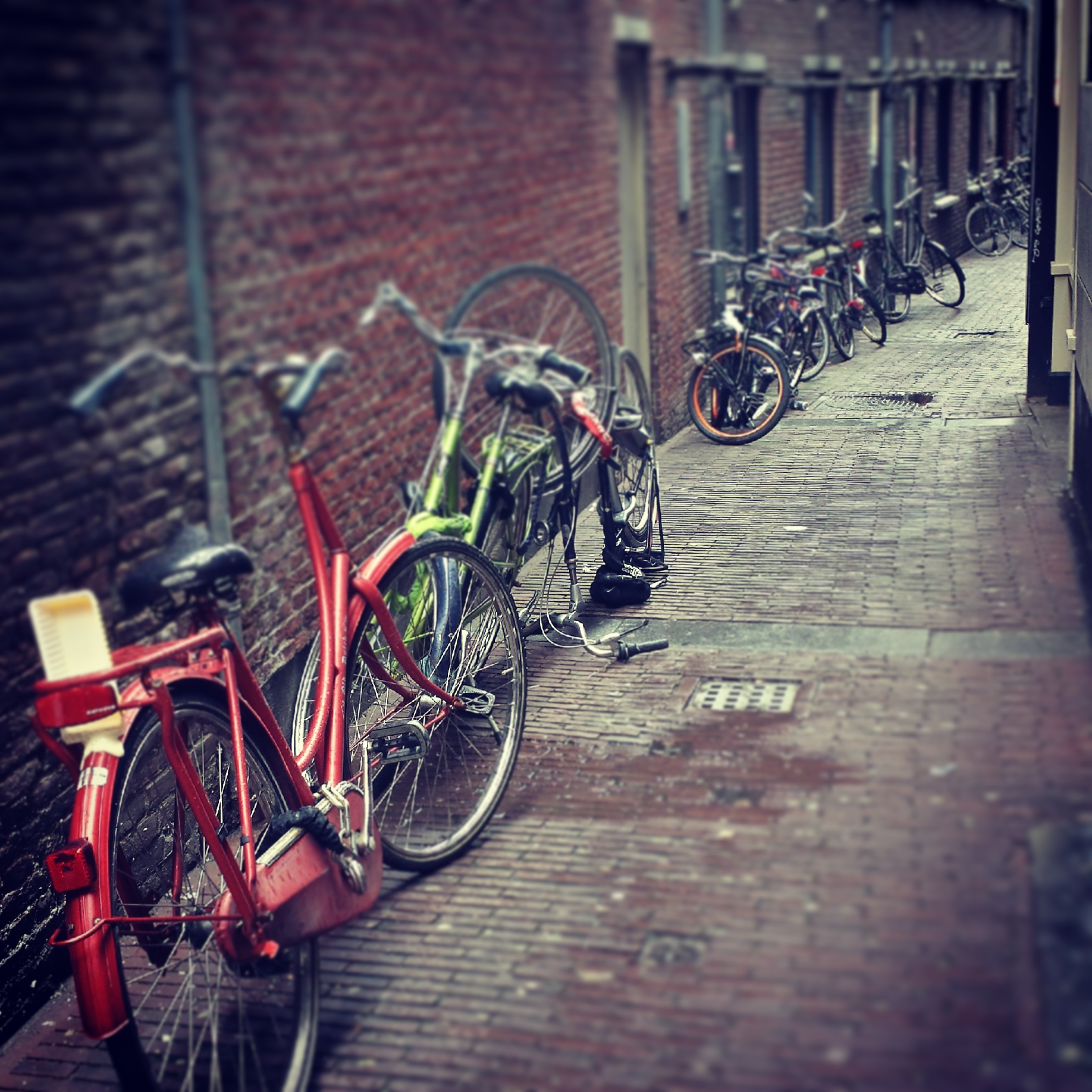 IMG_20140811_071247